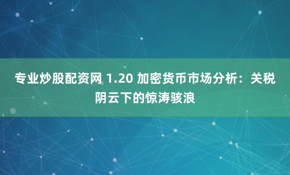 专业炒股配资网 1.20 加密货币市场分析：关税阴云下的惊涛骇浪