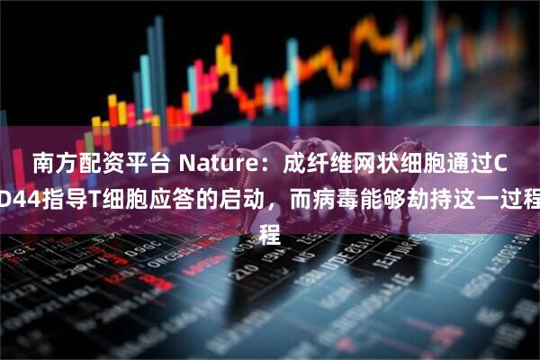 南方配资平台 Nature：成纤维网状细胞通过CD44指导T细胞应答的启动，而病毒能够劫持这一过程