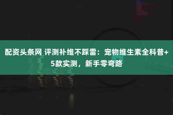 配资头条网 评测补维不踩雷:宠物维生素全科普+5款实测,新手零弯路