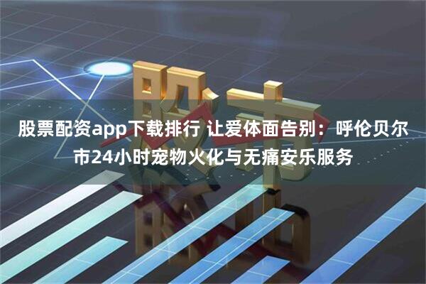 股票配资app下载排行 让爱体面告别:呼伦贝尔市24小时宠物火化与无痛安乐服务