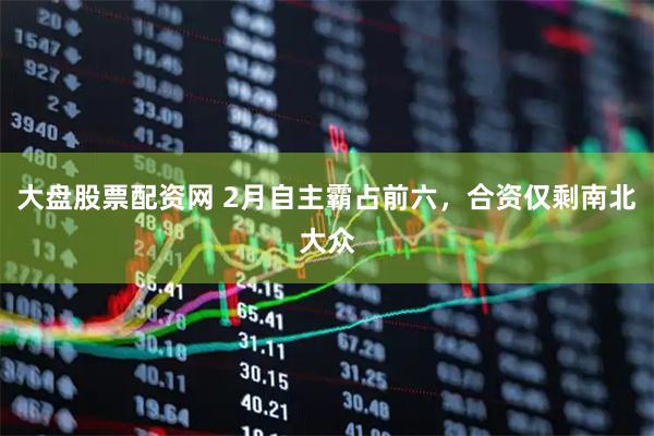 大盘股票配资网 2月自主霸占前六,合资仅剩南北大众