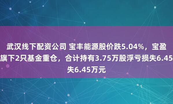 武汉线下配资公司 宝丰能源股价跌5.04%，宝盈基金旗下2只基金重仓，合计持有3.75万股浮亏损失6.45万元