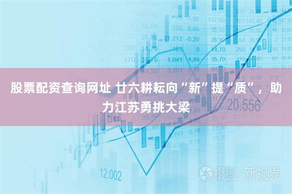 股票配资查询网址 廿六耕耘向“新”提“质”，助力江苏勇挑大梁