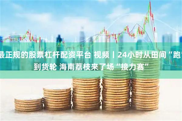 最正规的股票杠杆配资平台 视频丨24小时从田间“跑”到货轮 海南荔枝来了场“接力赛”