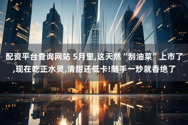 配资平台查询网站 5月里,这天然“刮油菜”上市了,现在吃正水灵,清甜还低卡!随手一炒就香绝了